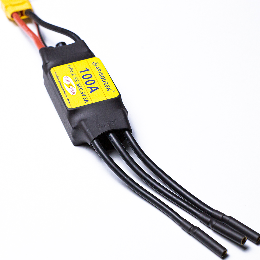 ApisQueen underwater 100A Brus - Rc Boat Brushless Motor review and price